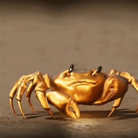 crab gif|crab people gif.